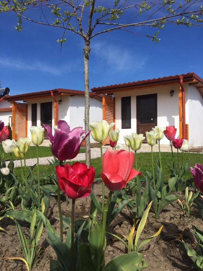 Casa Ivana 무리기올 외부 사진